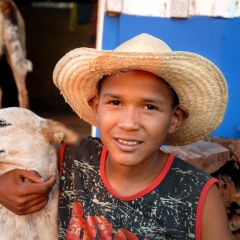 Boy & Dog, Brazil