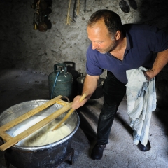 Shepherd making cheese, Sardinia