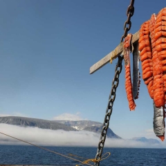 Drying Arctic Char, Labrador, Canada