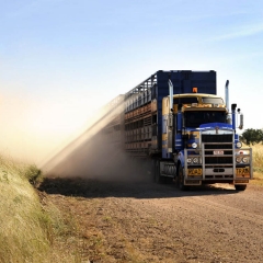 Road Train, Gibb River Road, Western Australia